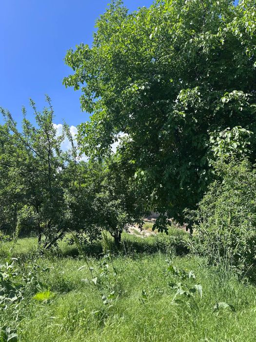 Земля в Сижжаке