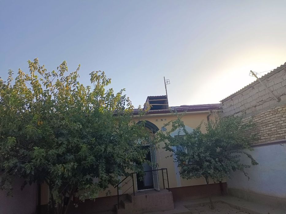 2 sotixlik katej sotiladi.