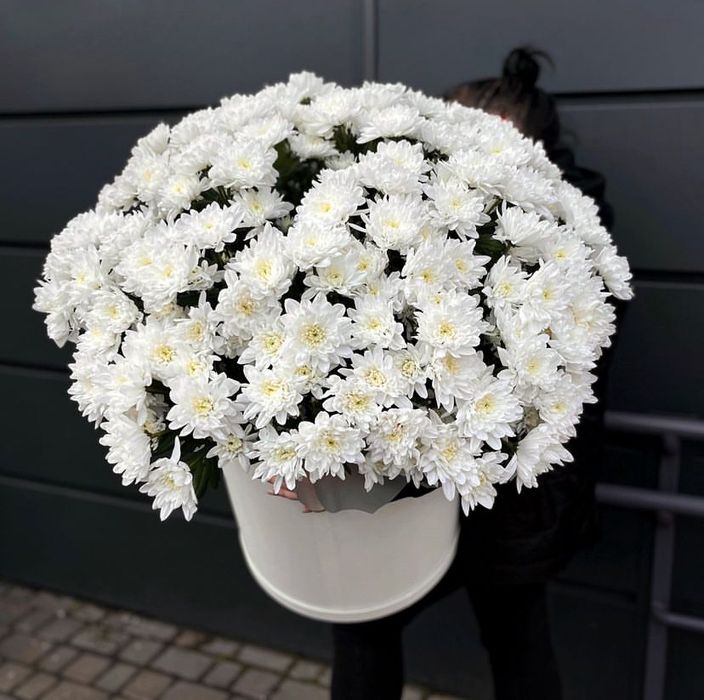 Розы Пионы Гортензии Хризантемы большой выбор