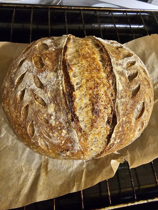 Maia pentru pâine de casă