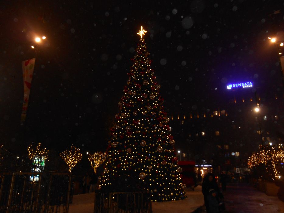 Nikon S3500 Цифровая Камера