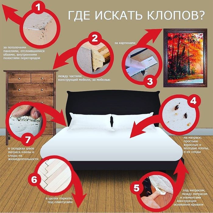Dezinfeksiya, dezinseksiya, deratizatsiya