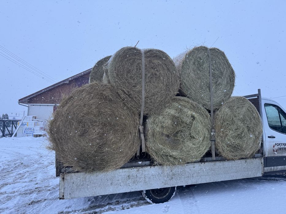 Baloti de fan rotunzi