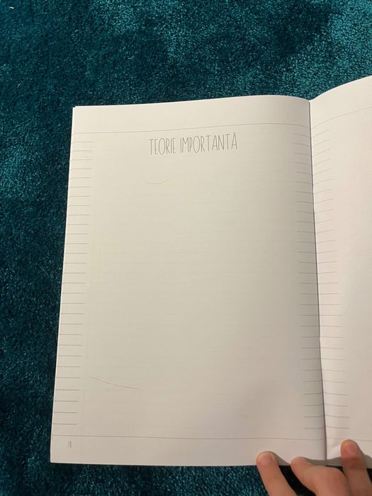 Caiet interactiv de română Izzie Publishing nou nouț