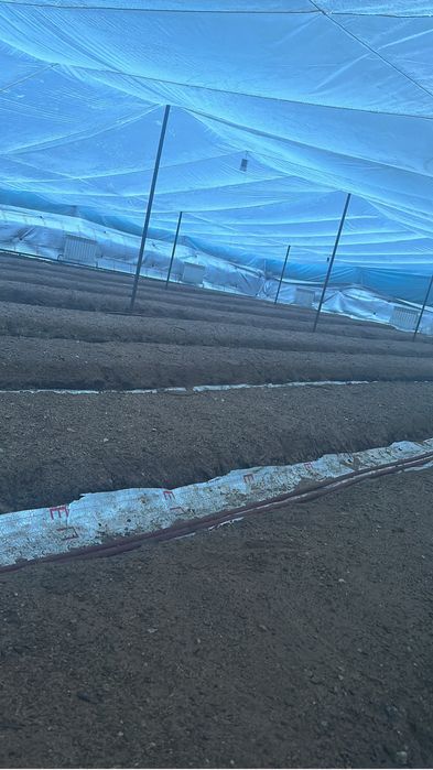 Продается участок с теплицей. Отлично подходит для бизнеса!