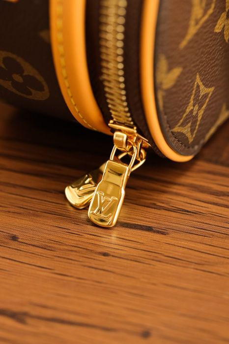 Geanta Louis Vuitton
