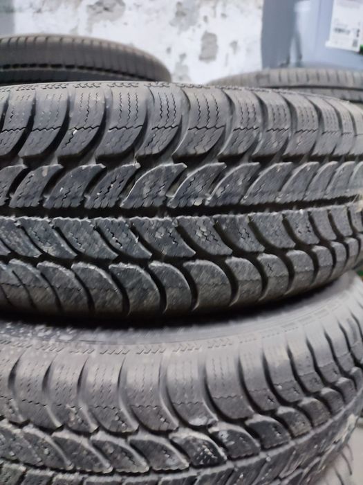 Roti iarna ..       .