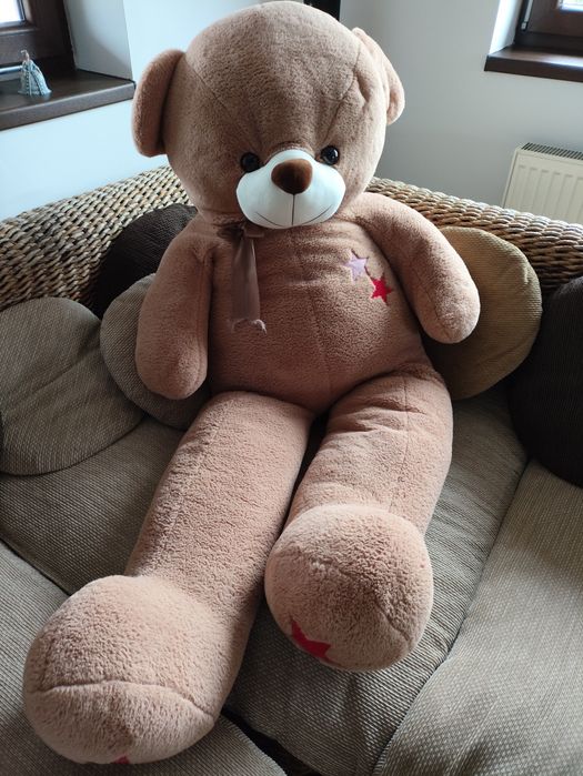 Vând urs de plus nou