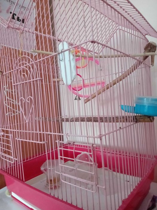 Клетка для попугая с 8 предметами