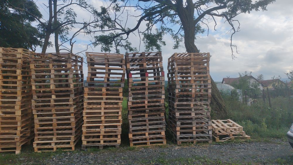 Vand paleti  pentru foc sau uz