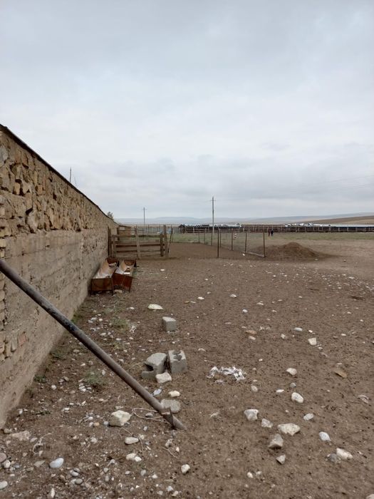 Ферма, для сельхоза и животноводничесва