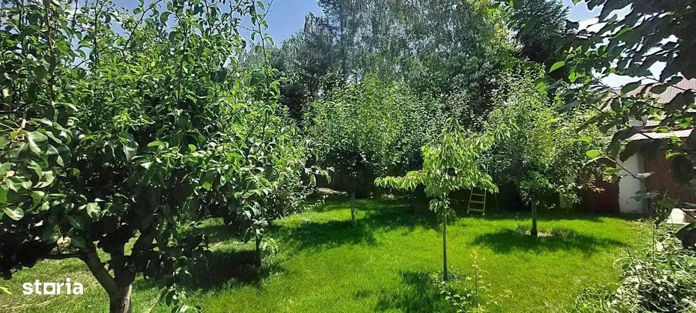 Vila cu 8 Camere Corbeanca | Semineu | Curte 2300mp | Piscina | Sauna
