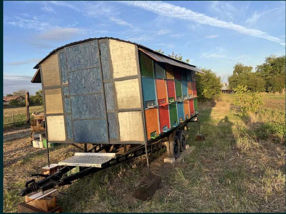 Platformă apicola omologată
