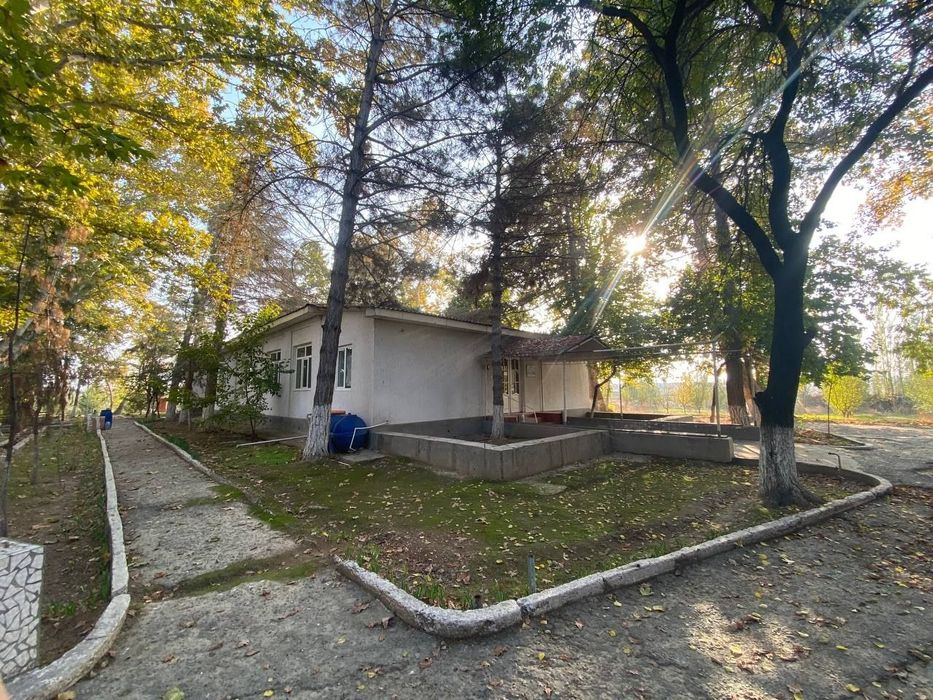 Klinika sotiladi 240.9 sotix umumiy maydon