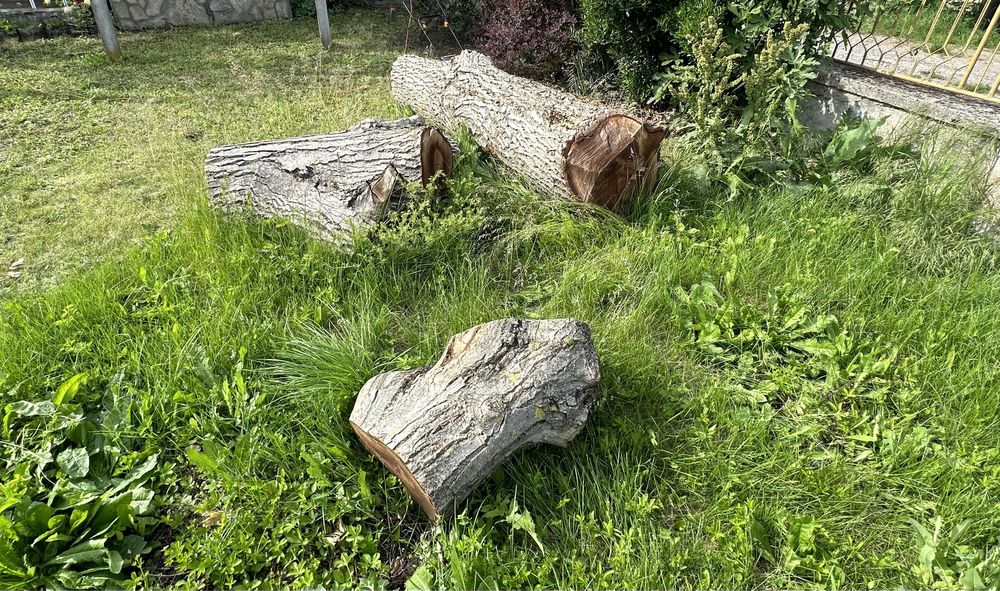 Нарязан орех може да се използва за изработка на мебели