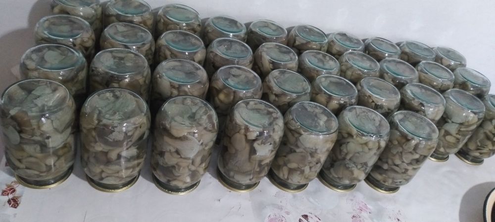 Маринованные грибы Вешанка