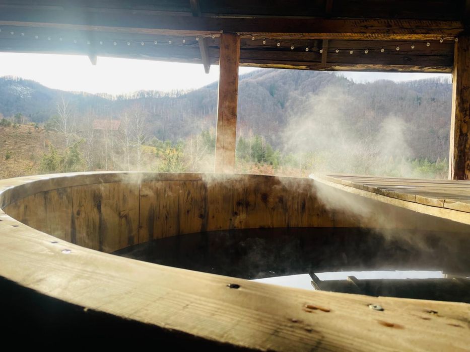 Cabana de inchiriat zona Coada Lacului Remeti