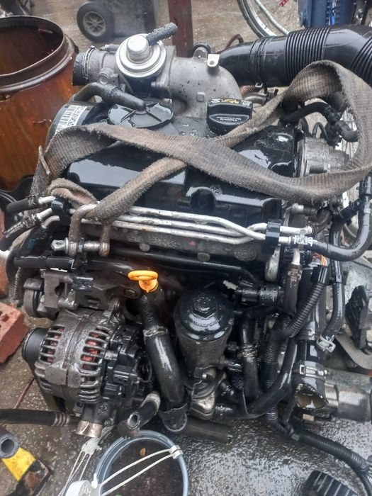 chiulasa completa BNM