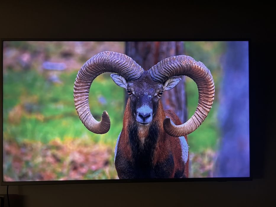 Televizor Philips 164 cm