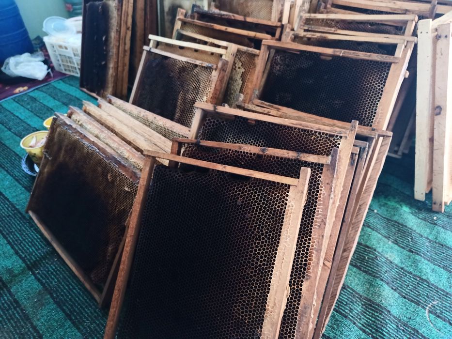 Sush ramka sotiladi. Асалари суш рамкалари сотилади