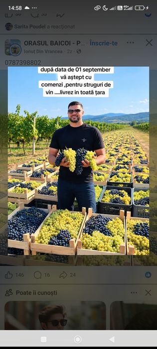 Vând struguri de vin alb și negru