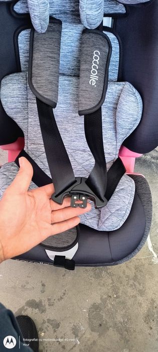 Scaun auto isofix Coccolle Cressida 0-36 kg