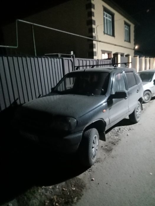 Шнива живая ездиет