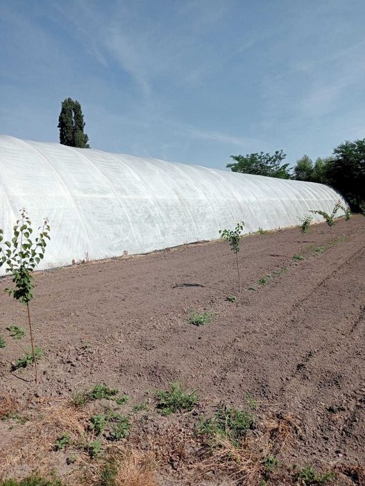 Solar pentru legume