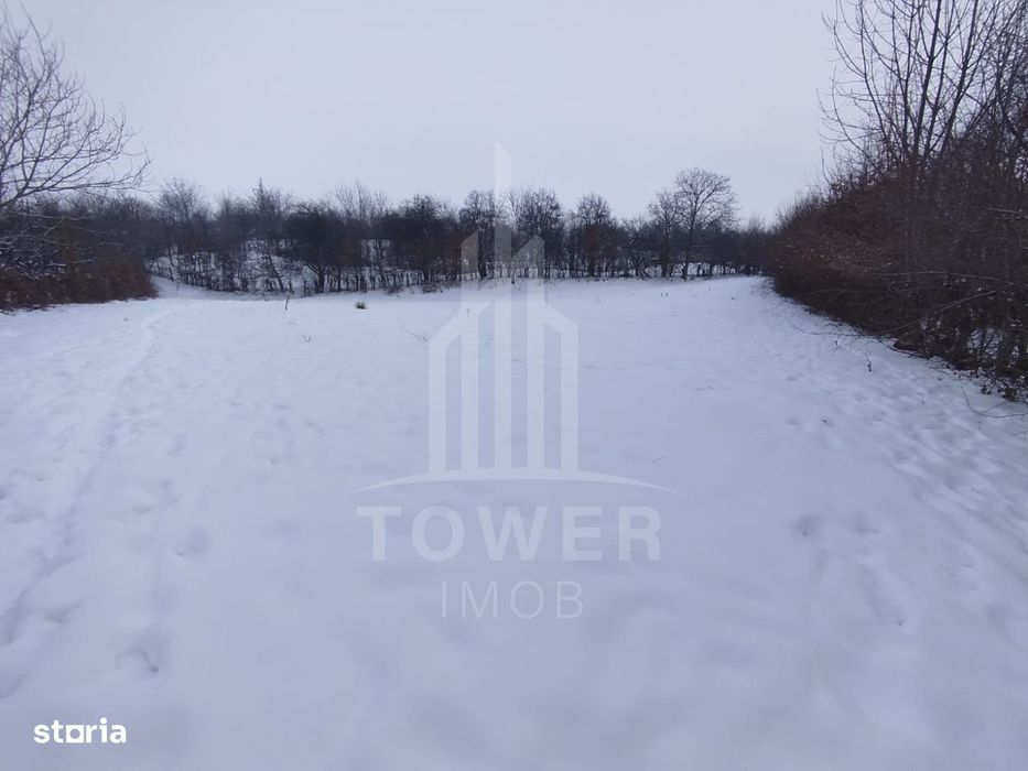 Teren intravilan 2.295 mp, deschidere 60 m – Rășinari, comision 0%