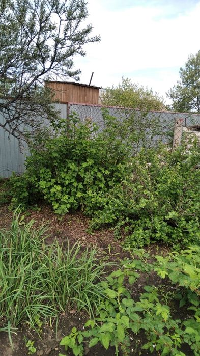 Продам дачу. Общество "ракета"