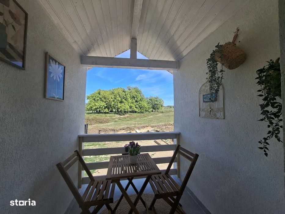 Casa deosebita in Satu Nou de Sus