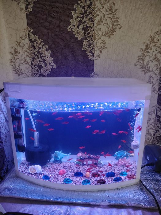 Akvarium 30Litr komplekt