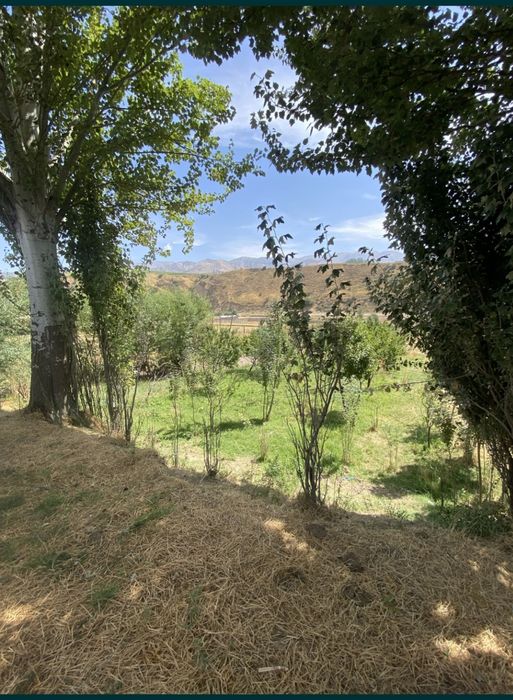 Tog' etagida yer uchastkasi sotiladi