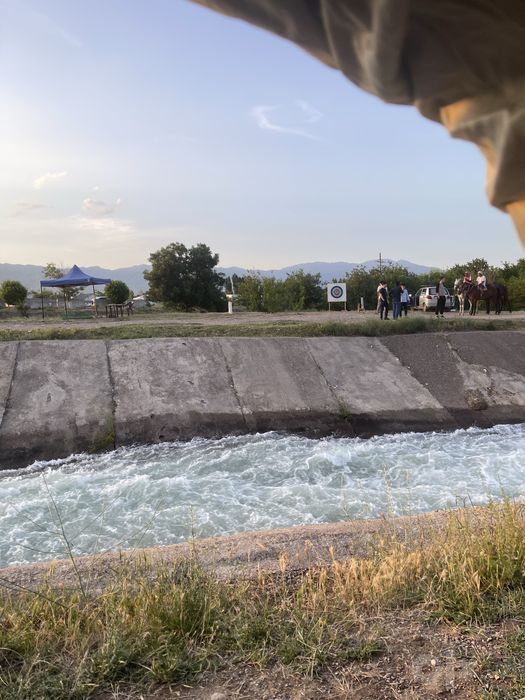 Palatka arendaga berladi 200 mindan