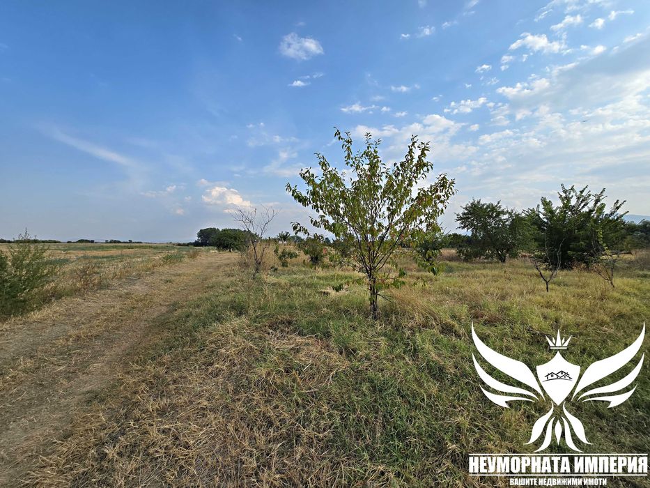 Продава се Парцел в с. Боянци, Област Пловдив - 29000 кв.м за 5 €/кв.м - Снимка #5