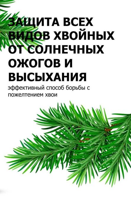Защита хвойных от солнечных ожогов!