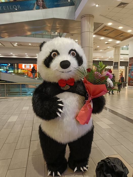 Изненада Забавна панда/мечка/стич/заек/ за всякакви поводи+Водещ