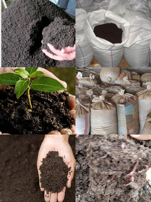 Биогумус сатылады