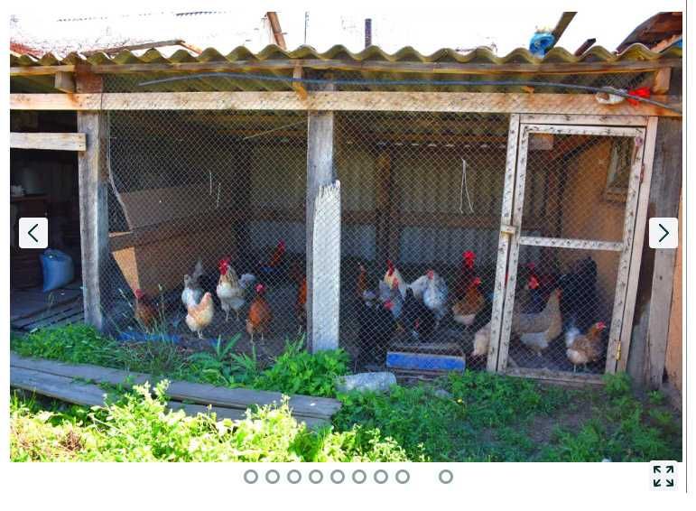 Срочно продам дом, недорого.