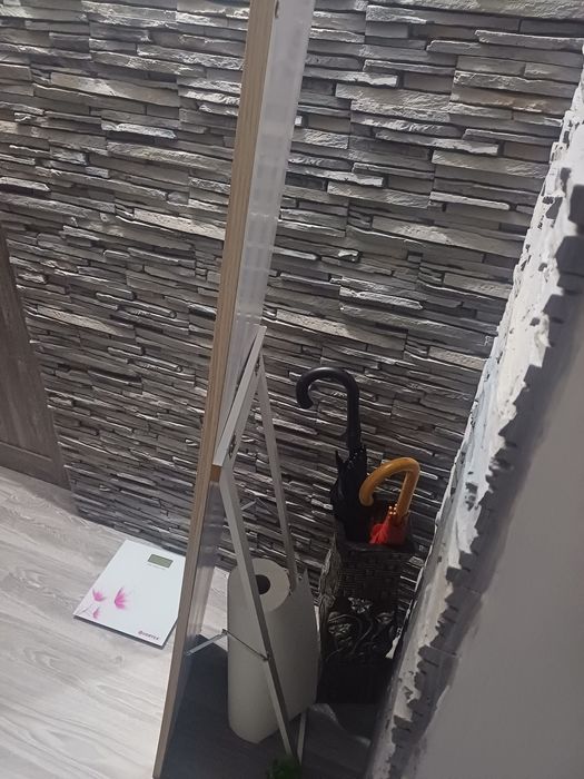 Oglinda decorativa 1,56×0,36 cm