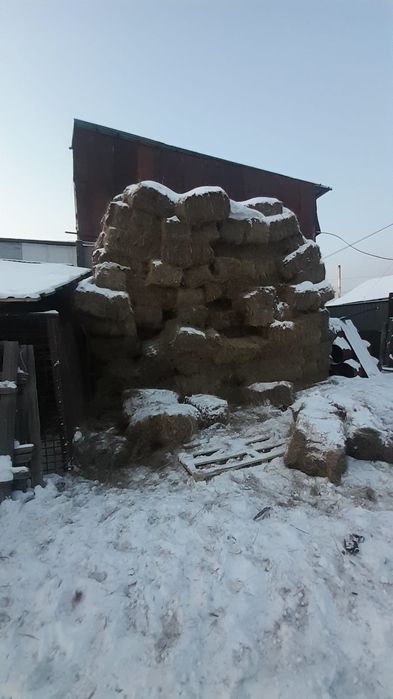 Продам сено тюковое