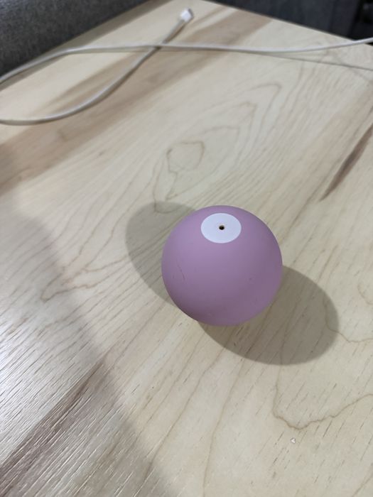 2x bile kendama / kendama tama