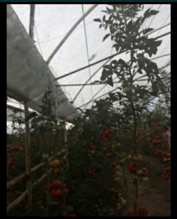 Таер бизнес типлиса сотилади