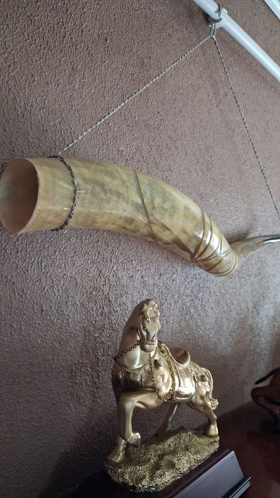 Рог изобилия большой