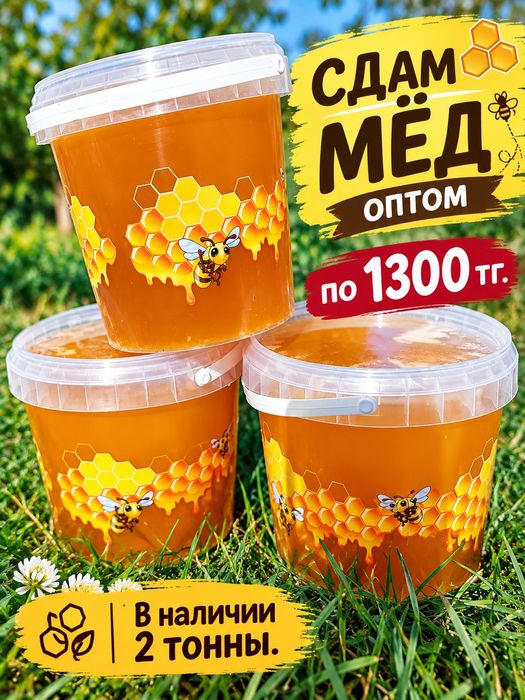 Продам мёд оптом
