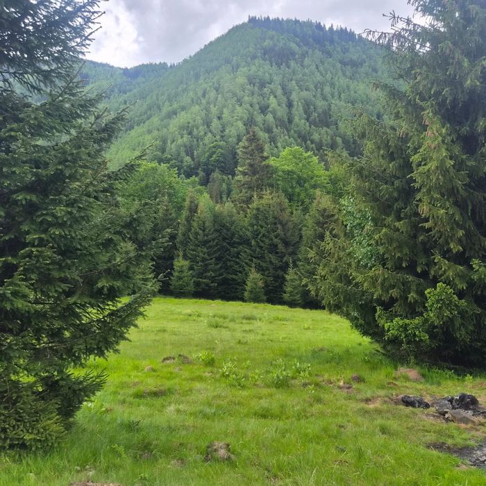 Teren de vanzare in Râusor
