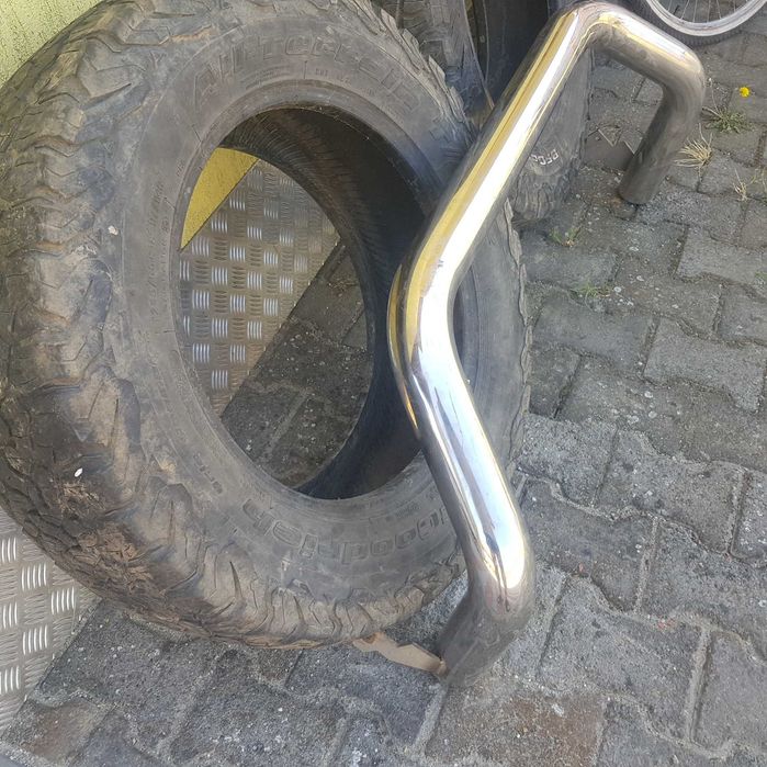 Bullbar Mitsutonida.