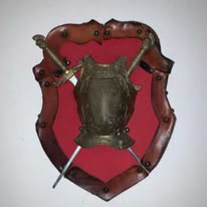 Panoplie sabii cu scut