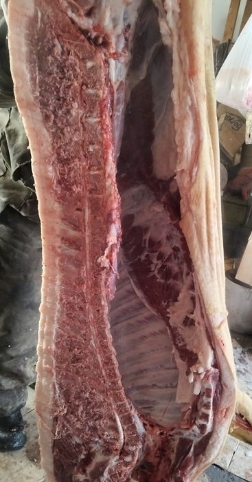 Продам свинину .