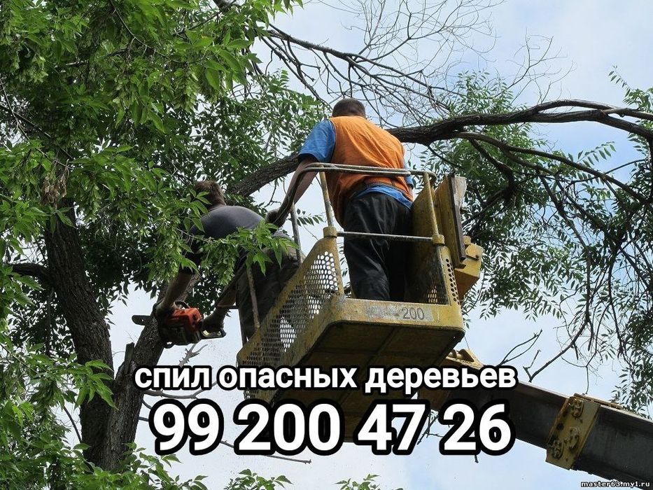 Спил формовка любой сложности деревьев